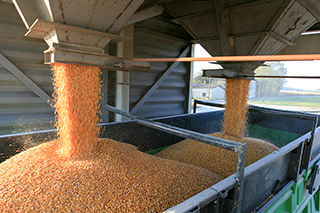 Бункеры для пшеницы, футерованные СВМПЭ PE-1000